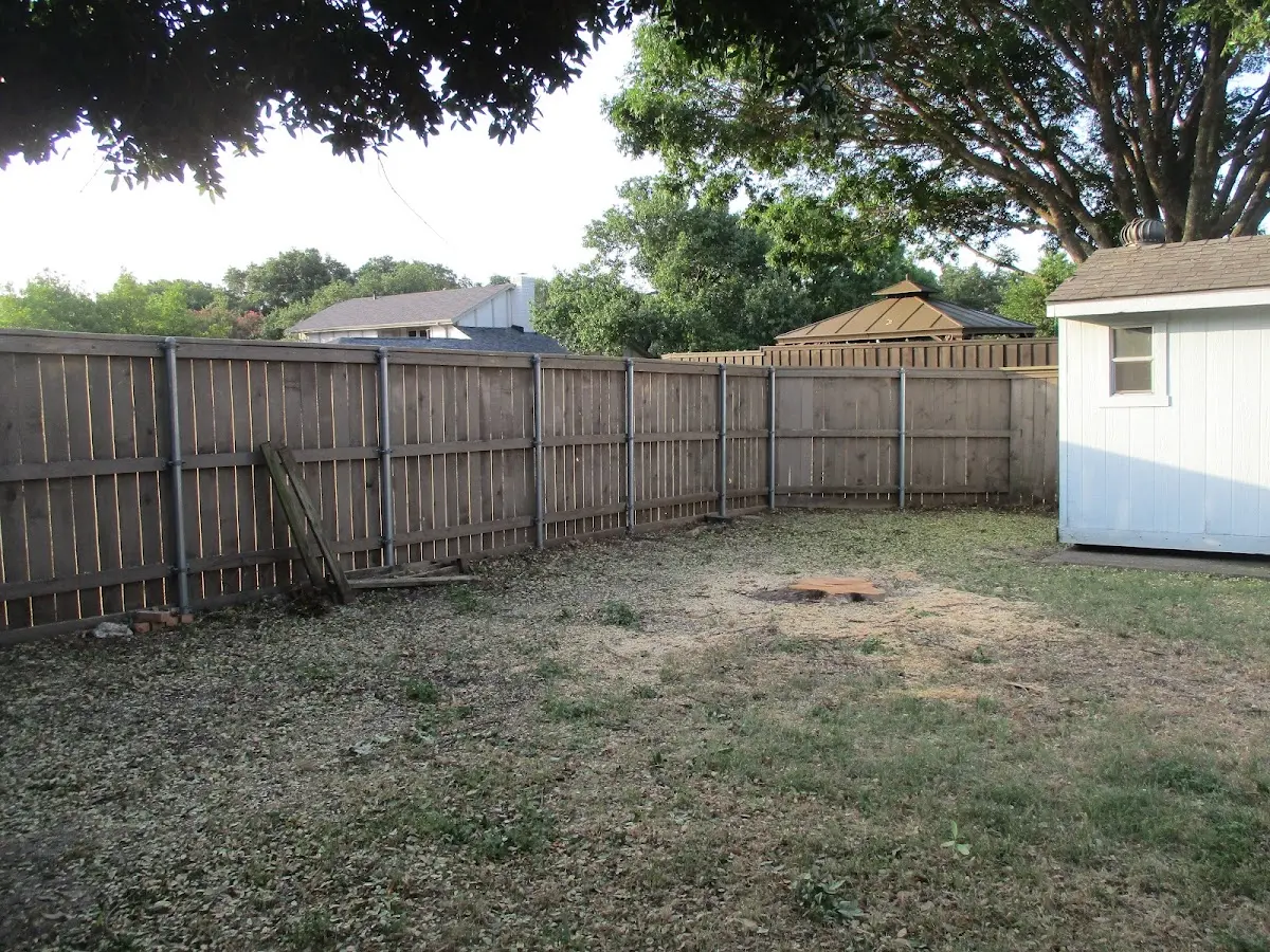 Cleared yard after professional tree removal in Washington Depot